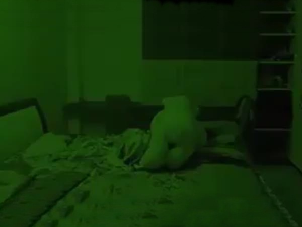 شاهد فيديو مرعب .. دب يتحرك في الظلام