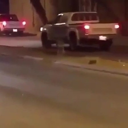 شاهد فهد يتجوّل بحرية في شوارع المملكة