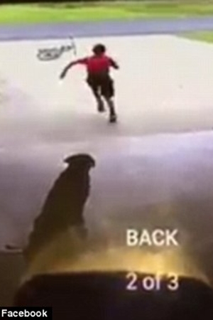 فيديو مؤثر .. لماذا يتسلل هذا الطفل يوميًا إلى منزل هذه السيدة