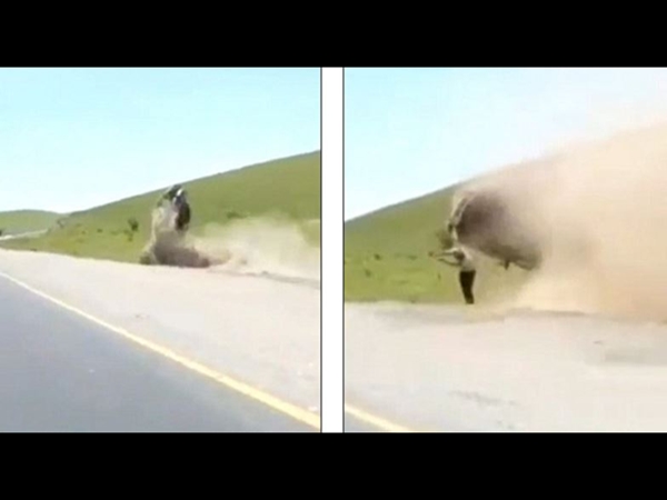 شاهد لحظة خروج هذا السائق ونجاته من هذا الحادث المروّع