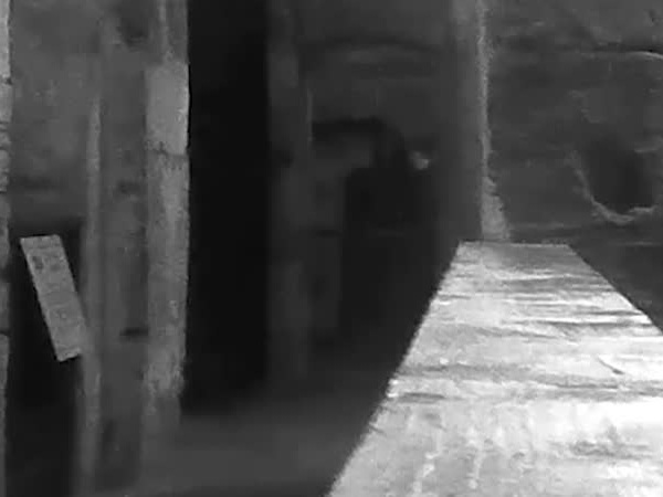 يسجّل ظهور شبح قاتل منتحر بالفيديو