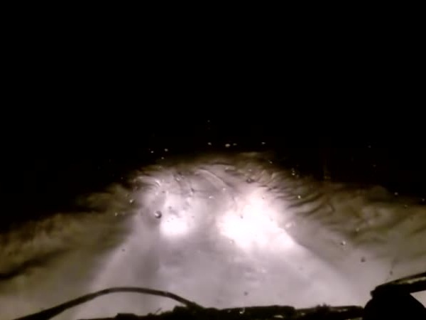 فيديو مرعب .. تسجيل لحظة رؤية مخلوق أسطوري