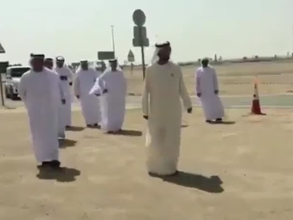 أنثى حبارى تغير خريطة العمل في نفق دبي .. فيديو