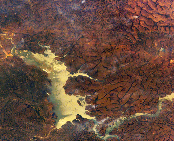 cameroon