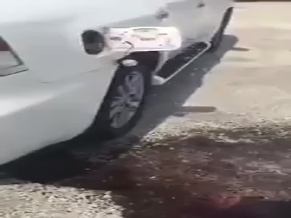 شاهد لحظة غليان الوقود بسبب ارتفاع درجات الحرارة