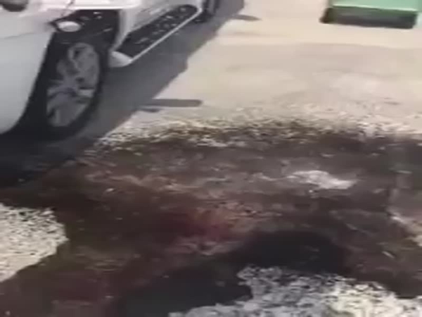 شاهد لحظة غليان الوقود بسبب ارتفاع درجات الحرارة