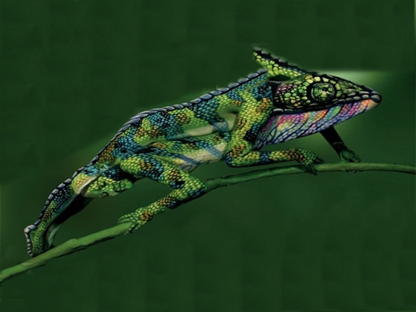 شاهد هذا الإبداع في الفن .. باستخدام الأشخاص