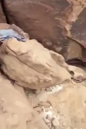 شاهد لحظة اصطياد ذئب من داحل مغارته