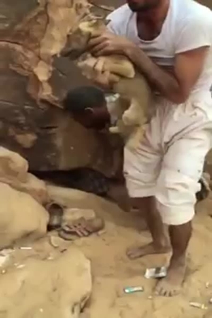 شاهد لحظة اصطياد ذئب من داحل مغارته