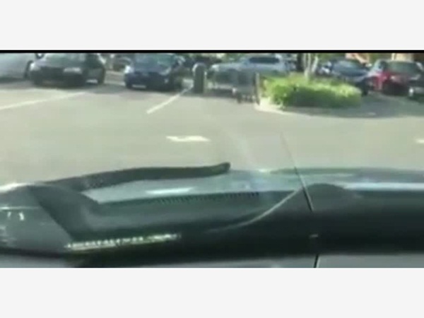 فيديو مرعب .. وجد ثعبان في السيارة يحدق به فجأة