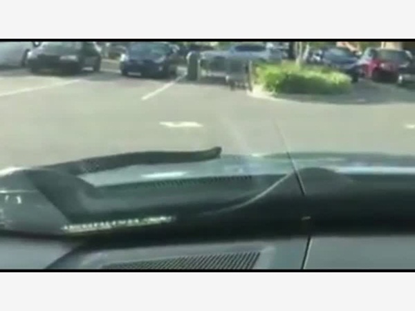 فيديو مرعب .. وجد ثعبان في السيارة يحدق به فجأة