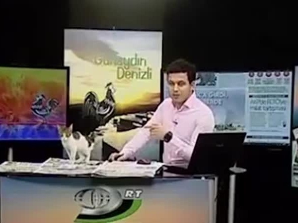 دخلت إلى الاستوديو خلسة .. ولكنه استطاع أن يعالج الموقف بسرعة