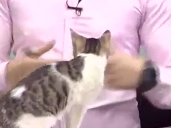دخلت إلى الاستوديو خلسة .. ولكنه استطاع أن يعالج الموقف بسرعة