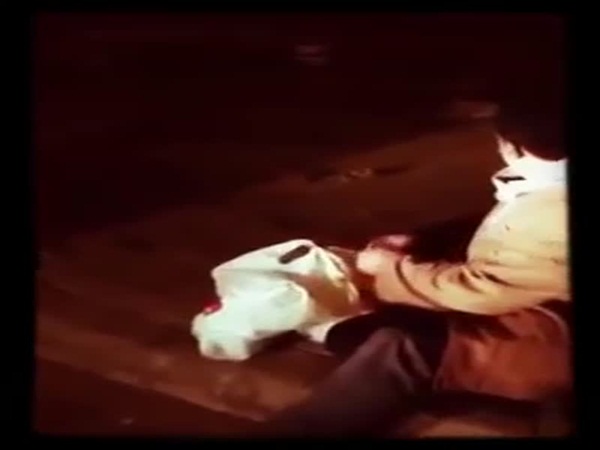 الرفق بالحيوان .. شاهد ماذا يفعل هذا العامل يوميًا