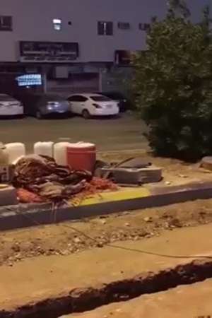 شاهد هذا الفيديو الذي أثار عاصفة من الغضب والشفقة في آنٍ واحد