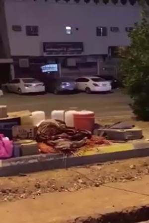 شاهد هذا الفيديو الذي أثار عاصفة من الغضب والشفقة في آنٍ واحد