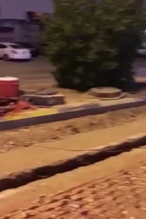 شاهد هذا الفيديو الذي أثار عاصفة من الغضب والشفقة في آنٍ واحد
