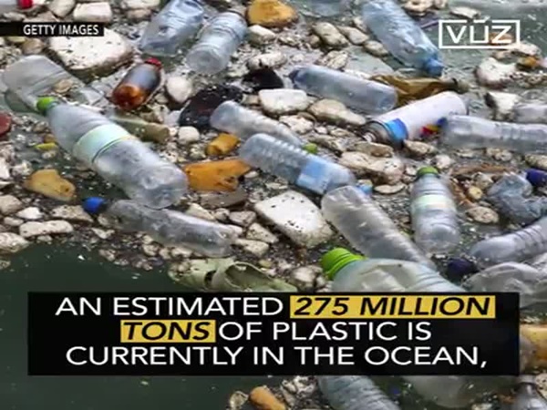 شاهد هذا الحوت على شواطئ الفلبين .. ولكنه ليس كأي حوت