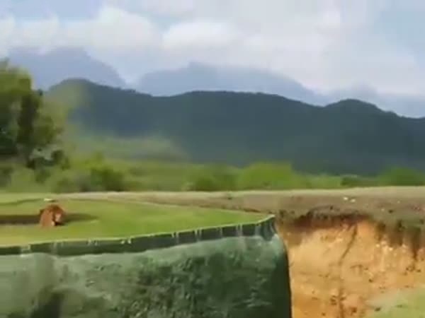 فيديو مرعب .. ما الذي فعلته هذه اللبؤة
