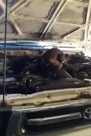 عند الذهاب لهذا الميكانيكي .. ستفاجأ من الذي يقوم بإصلاح سيارتك