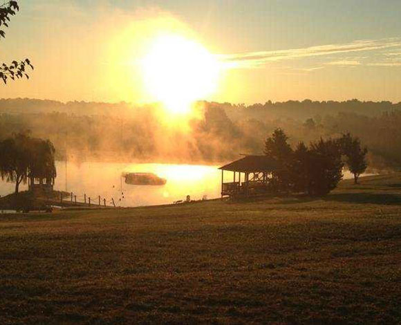 جينفر لورانس من مزارعة إلى أعلى الممثلات أجرًا في هوليوود