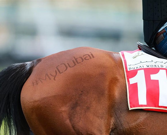 مبادرة #MyDubai تتخطى عتبة النصف مليون مشاركة على "إنستجرام"