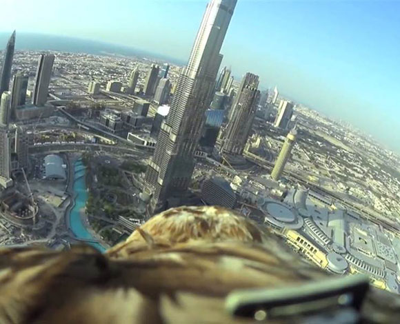 شاهد دبي من السماء بأعين طير جارح في هذا الفيديو