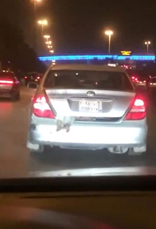 بالفيديو: فضيحة على طرقات الرياض