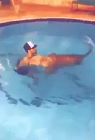 بالفيديو: سعودي يمتلك أغرب صديق في العالم