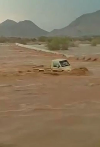 بالفيديو- سعودي يخاطر بنفسه