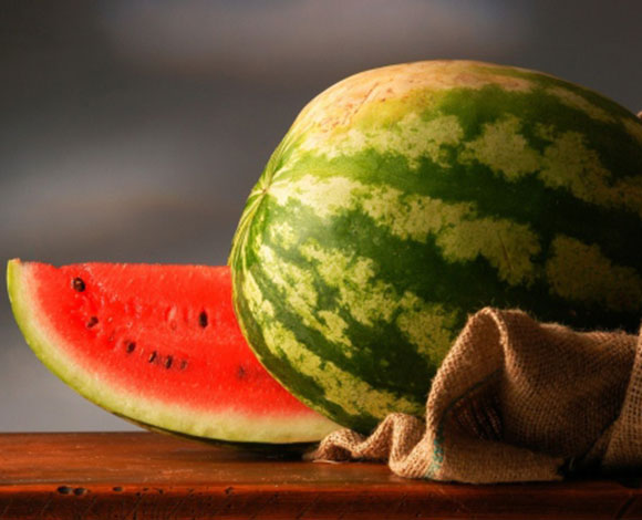 بالفيديو : حاولوا إصطياد السمك في السعودية ... فماذا إصطادوا؟