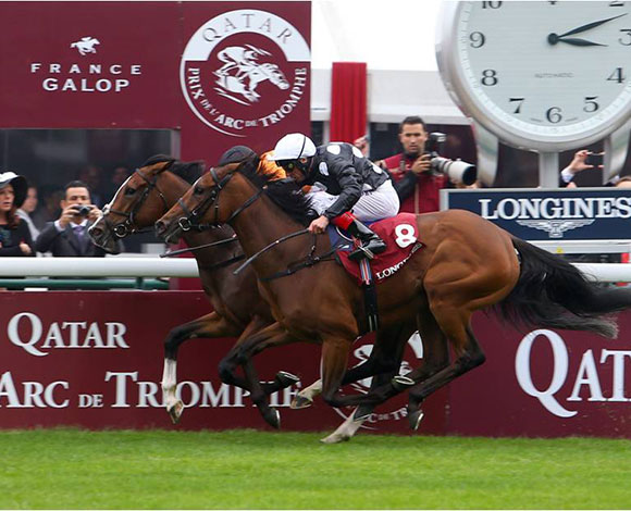 جائزة قوس النصر القطرية: سباق مثير بتوقيع Longines