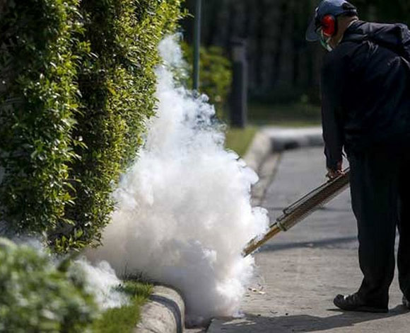 10 حقائق مهمة يجب على الجميع معرفتها عن فيروس زيكا