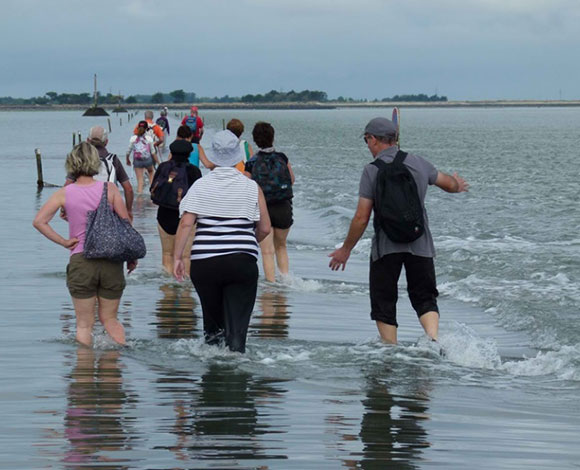 طريق Passage du Gois الذي يختفي تحت الماء في فرنسا