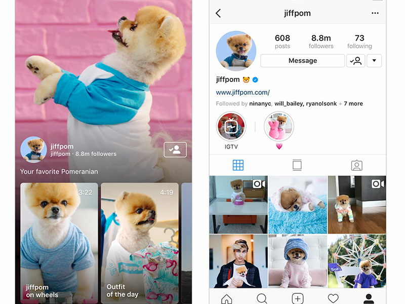 IGTV: الدليل النهائي لمنصة فيديو انستجرام الجديدة