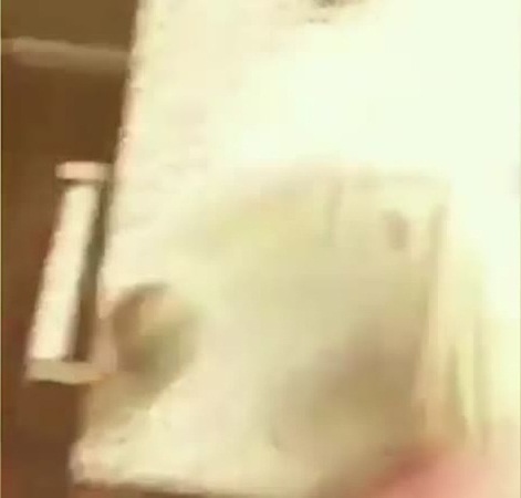 شاهد هذا المراهق الذي تباهى بامواله على انستغرام .. فانتقده المتابعون
