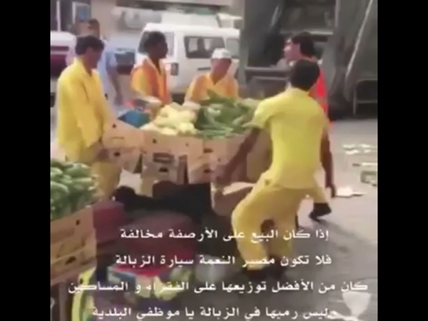 فيديو إلقاء خضروات طازجة في القمامة يثير سخط المواطنين