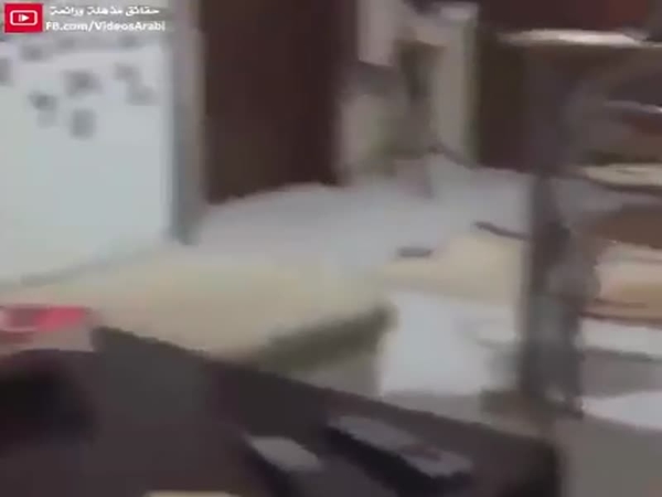شاهد رد فعل هذا الكلب عند مشاهدة فيلم رعب