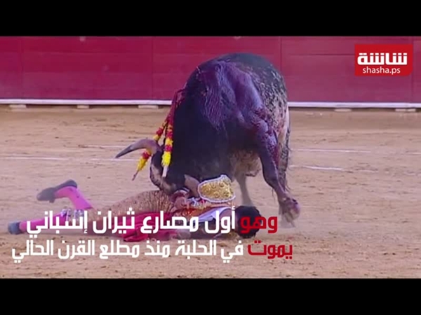 مقاتل ثيران يقتله ثور في الحلبة مباشرة أمام الجمهور