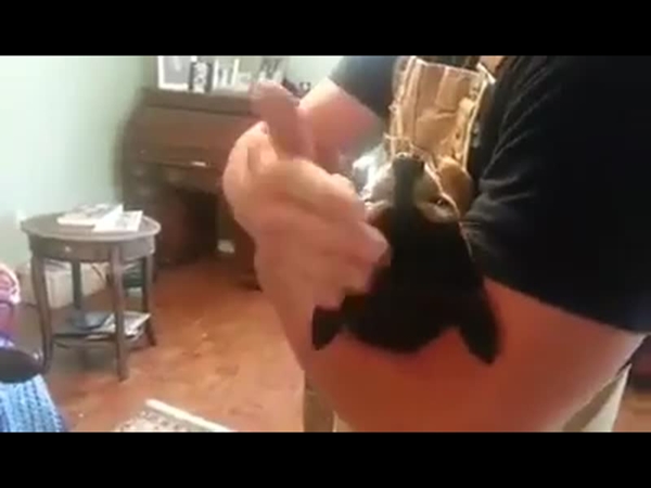 بالفيديو .. كلب مخلص لصاحبه حد إدعاء الموت