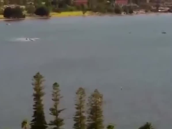 شاهد لحظة سقوط طائرة في النهر بأستراليا