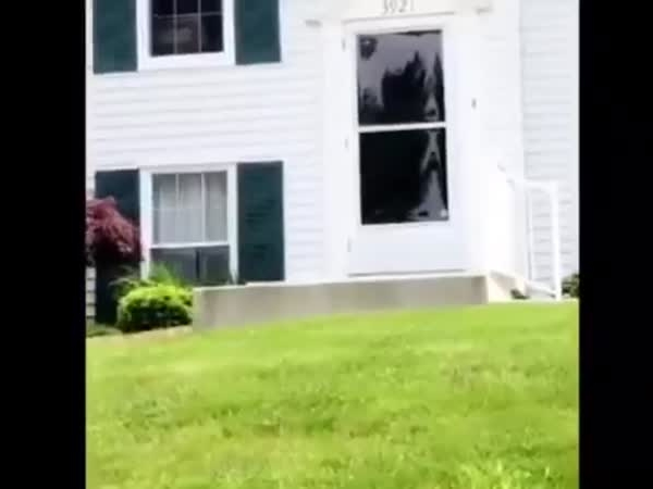 مقيم سعودي بأمريكا يعيد مروحية صغير إلى صاحبها الأمريكي