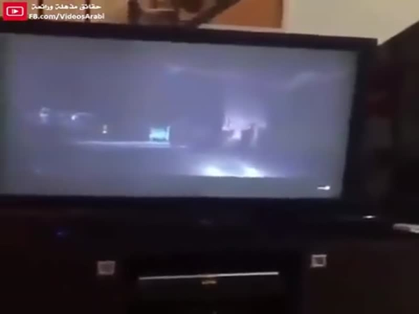 شاهد رد فعل هذا الكلب عند مشاهدة فيلم رعب