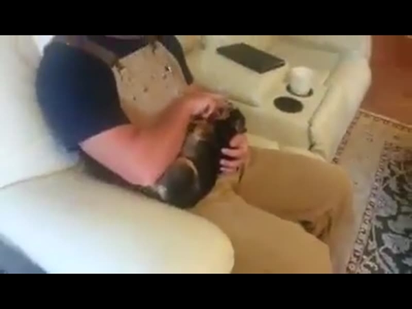 بالفيديو .. كلب مخلص لصاحبه حد إدعاء الموت