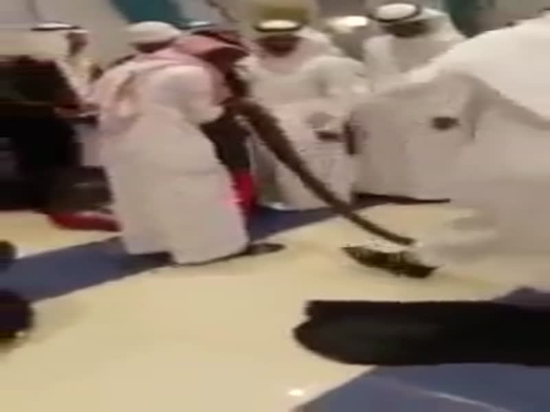 اضغط لمشاهدة الفيديو: ثعبان ضخم هدية لعريس في عرس سعودي!