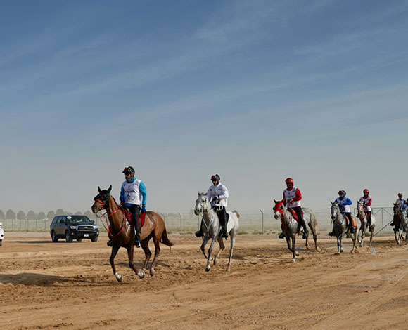سمو الشيخ حمدان بن محمد بن راشد آل مكتوم يفوز بكأس القدرة للعام 2015