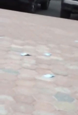 بالفيديو- عندما تمطر السماء مالاً في الكويت