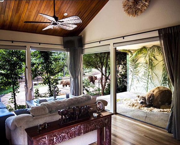 في فندق Jamala Wildlife Lodge: غذاؤك قرب الأسود وتجربة لن تصدقها