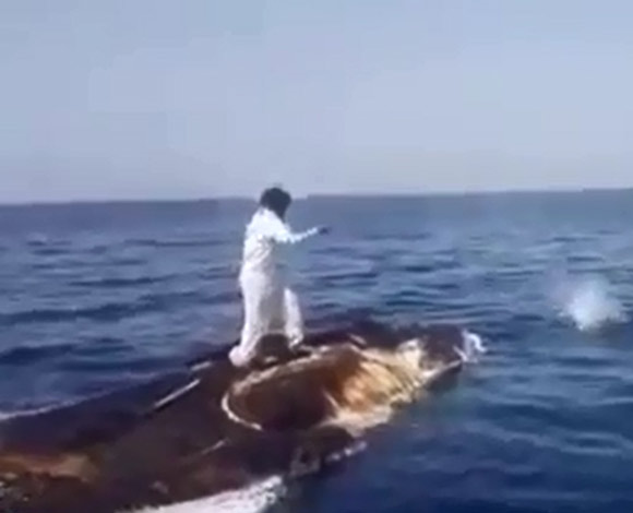 أغرب صيد في السعودية ... على ظهر حوت