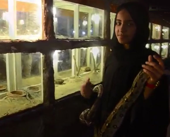 بالفيديو : سعودية هوايتها تربية الثعابين